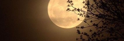 moonlight1747_'s profile banner image