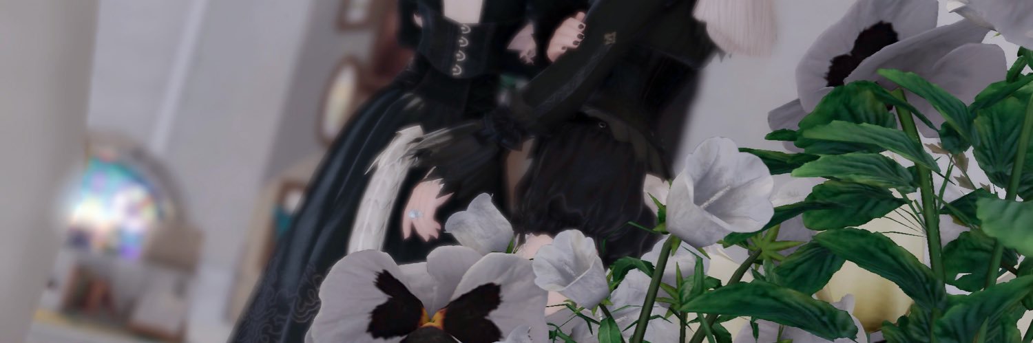 shaula︎︎☽ banner