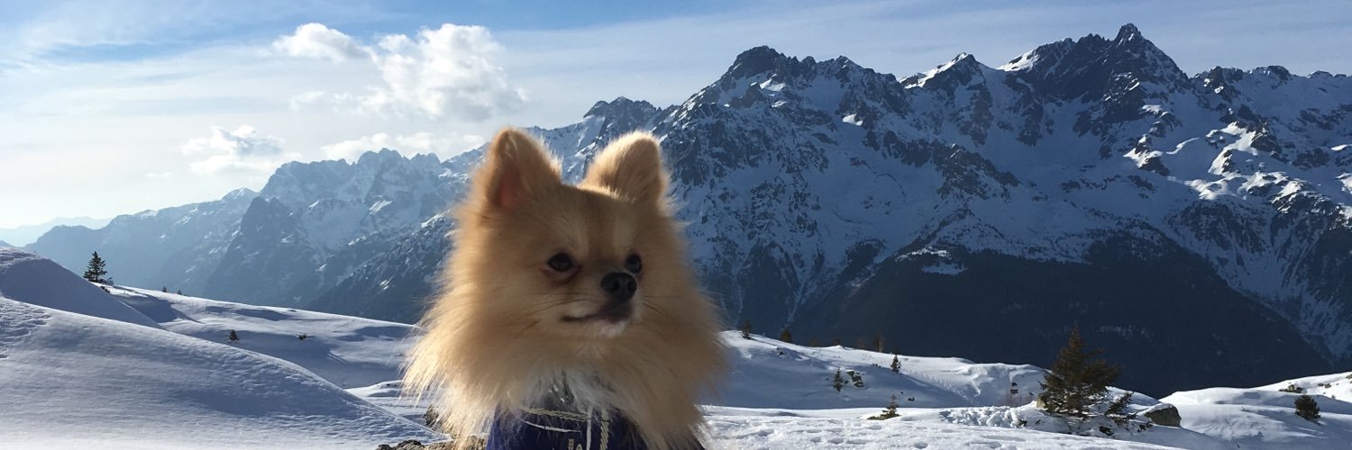 StyfeneRetaud's profile banner image