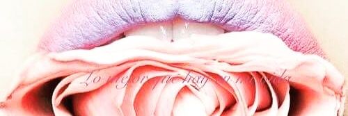 Violetagrosella's profile banner image