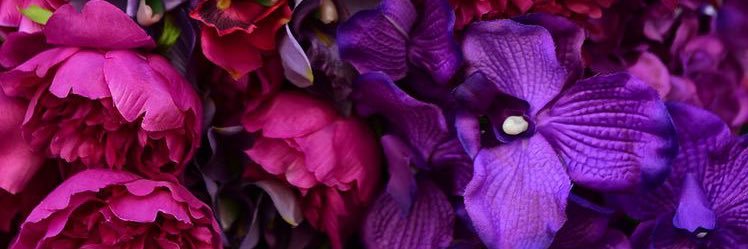 Jessica banner