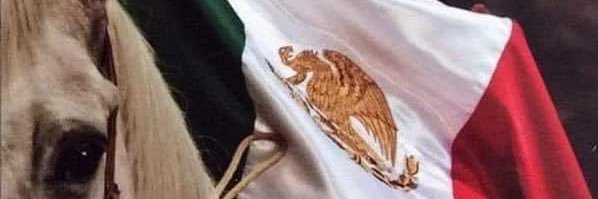 Rmalastra's profile banner image
