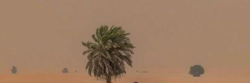 0ilri_'s profile banner image