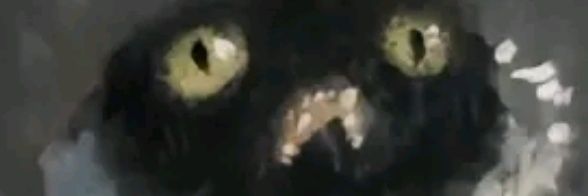 nukoyi's profile banner image