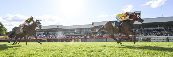 ThoroughbredPk Profile Banner