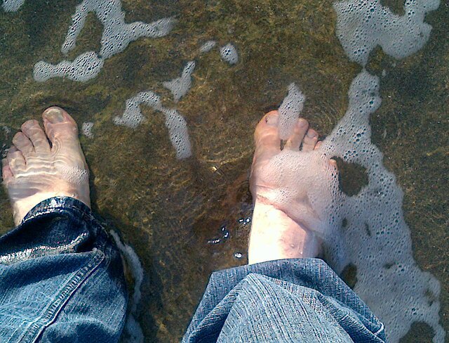 Philip Warrick banner