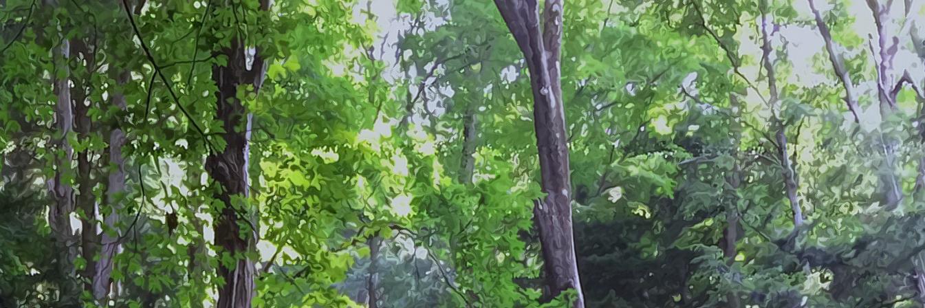 mrmorphius's profile banner image