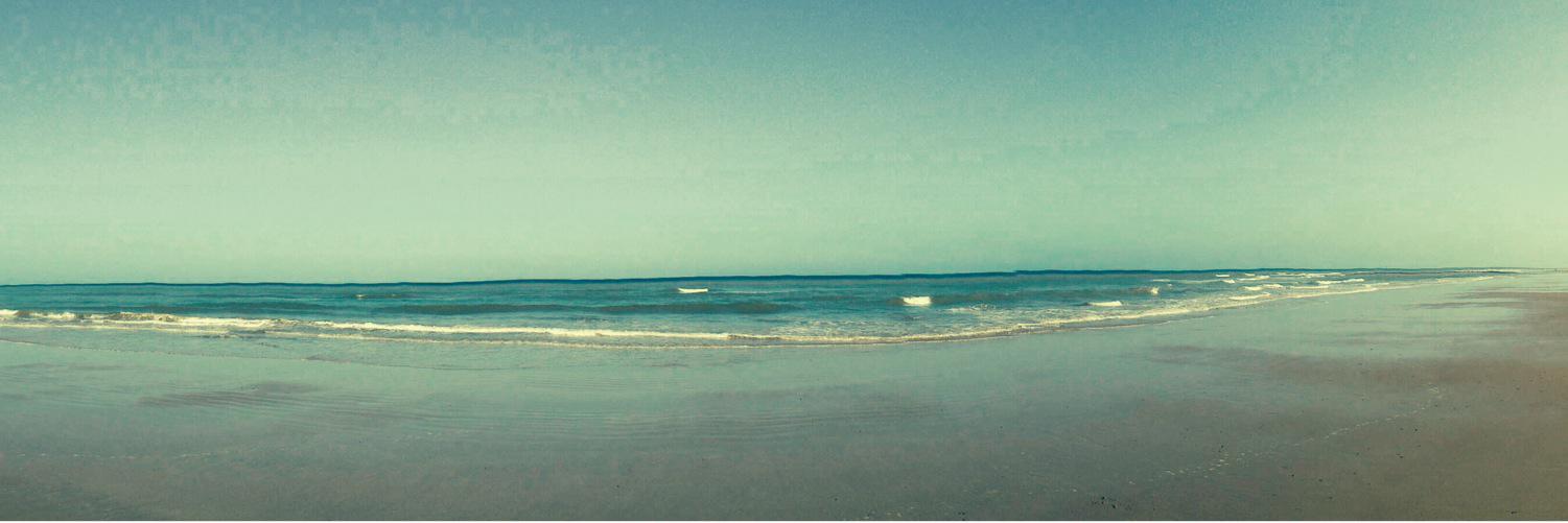 Anthony Bullinger banner