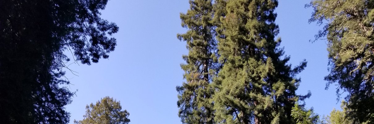 ballercat's profile banner image