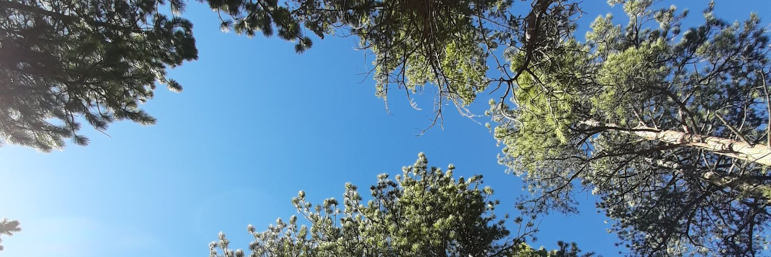 UniversalMind27's profile banner image