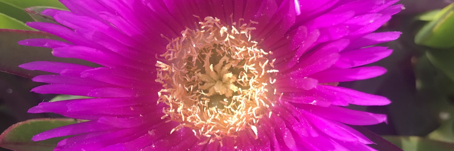 أ. د. عبيد العتيبي banner