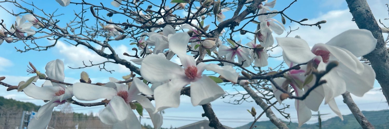 燈子 banner