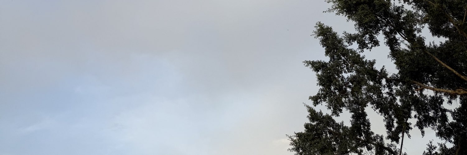 Mico banner