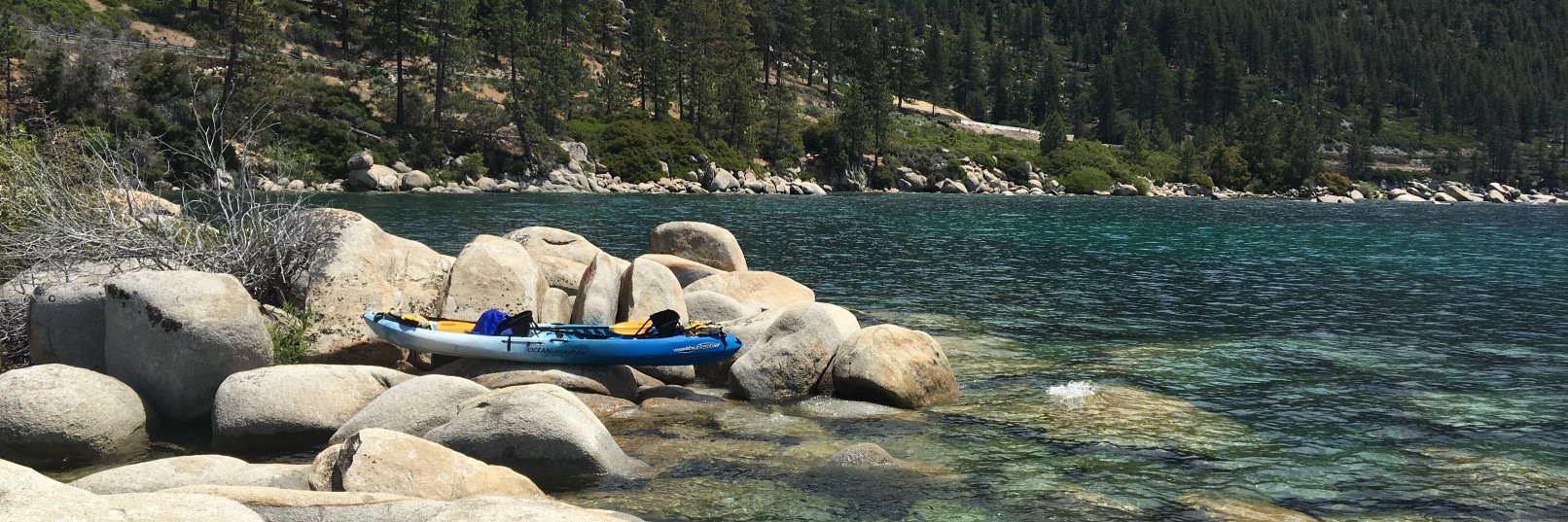 Jessica Murphy banner