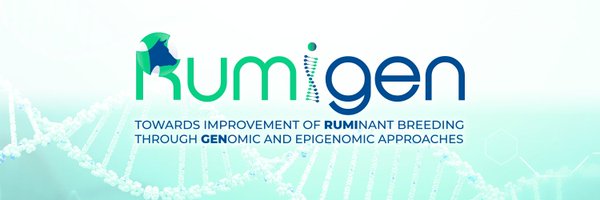 RUMIGENH2020 Profile Banner