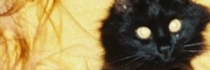 rachoue__l's profile banner image