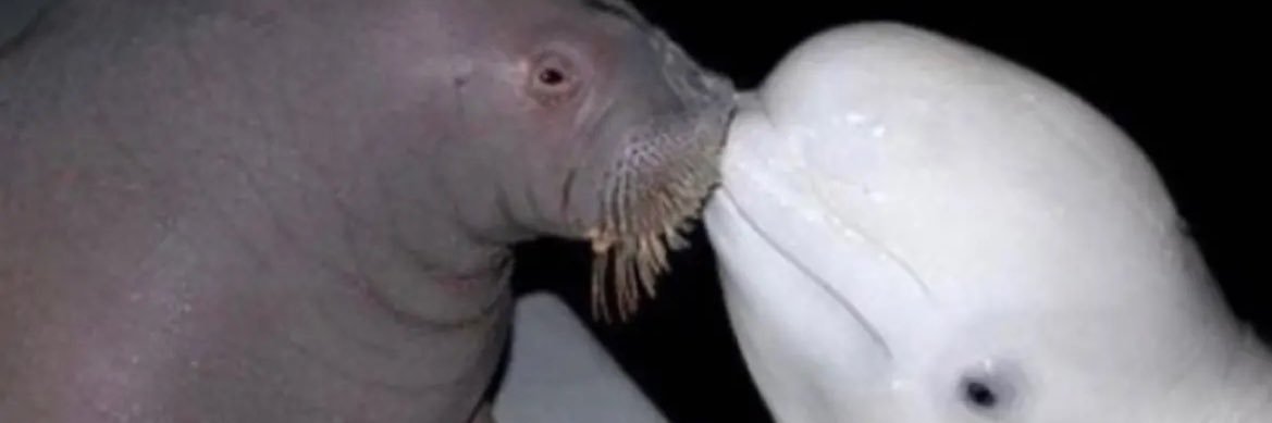 greasyeyelids's profile banner image