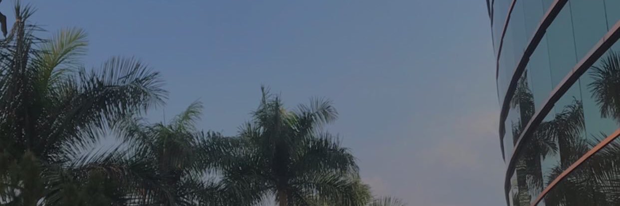 🇵🇸🌥💫 banner