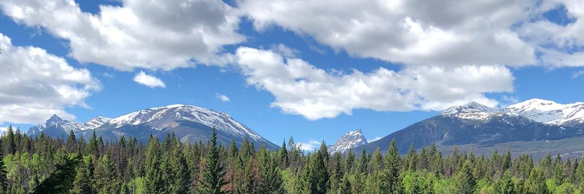gjaypangm's profile banner image
