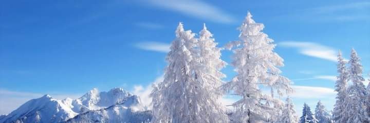 Malaika_007's profile banner image