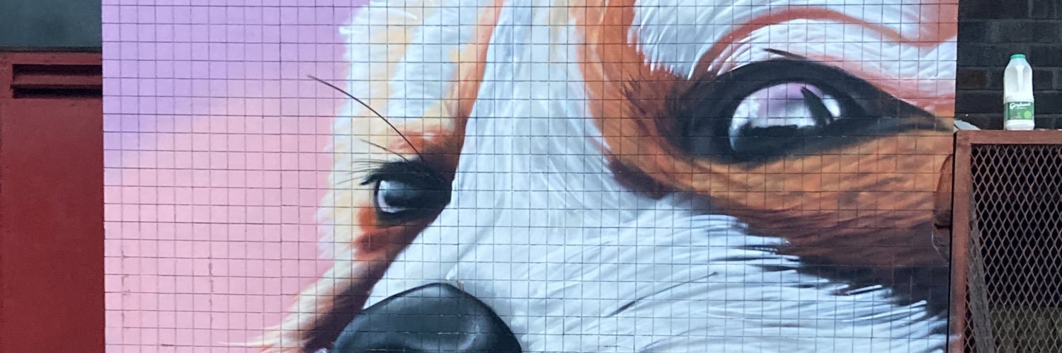 Mack Colours banner