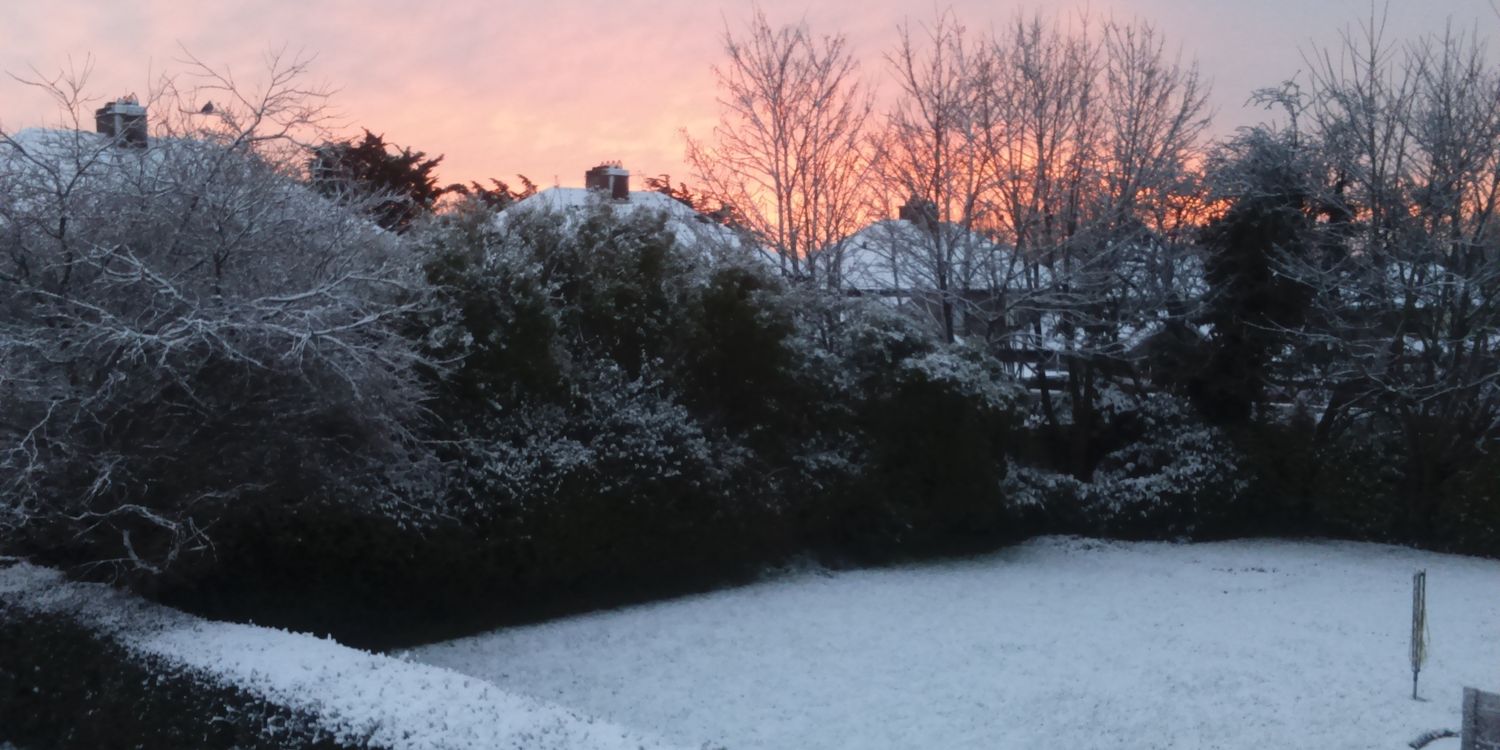 Colette McCarthy banner