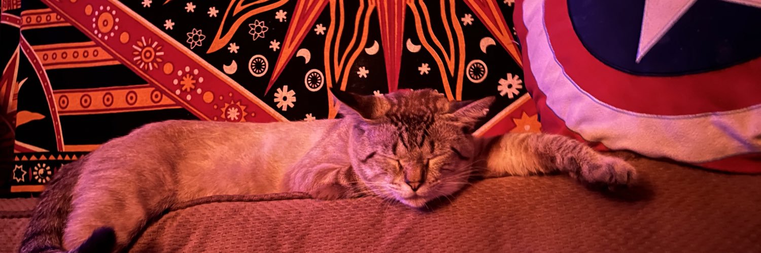 spidermvn's profile banner image
