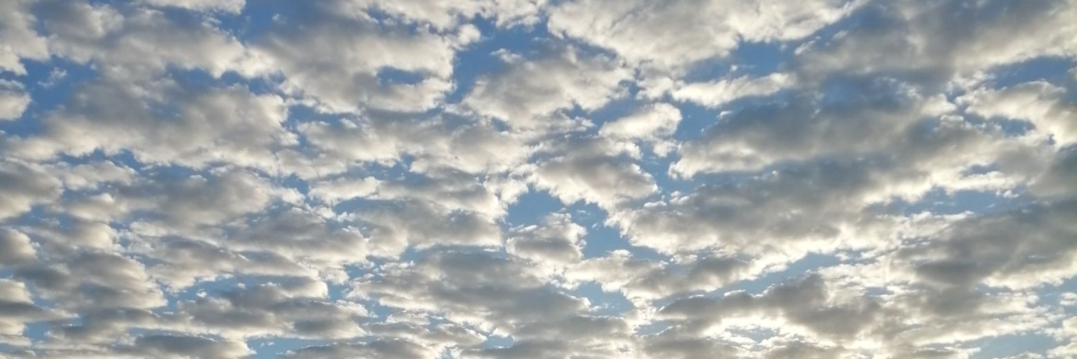 πa iturbides banner