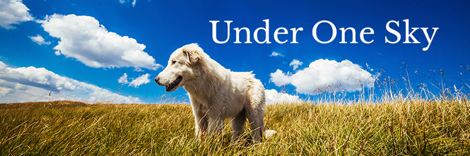 Kure Pet Food (KurePetFood) Twitter