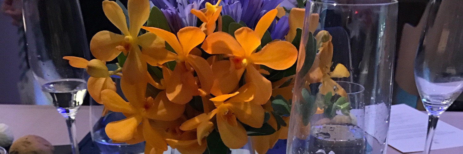 🌕路人rin🐈 banner