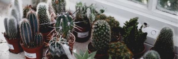 oh1directions's profile banner image