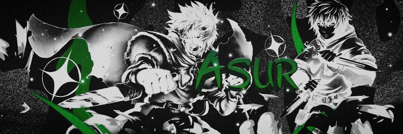 asurFN's profile banner image