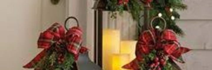 SNatalinas's profile banner image