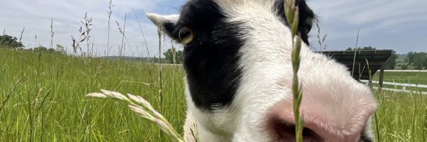 HeyEpic Profile Banner