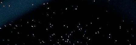 ً banner