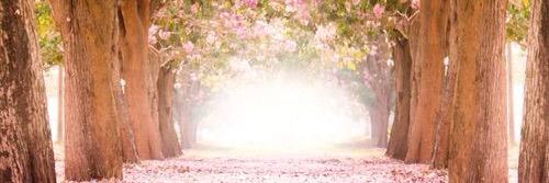 ChristianOhio's profile banner image