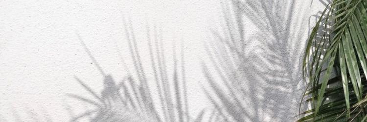 Gammb00's profile banner image