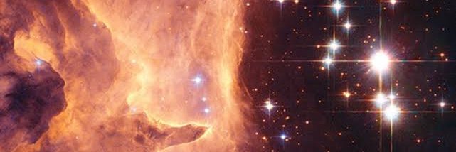 kaileyinNZ's profile banner image