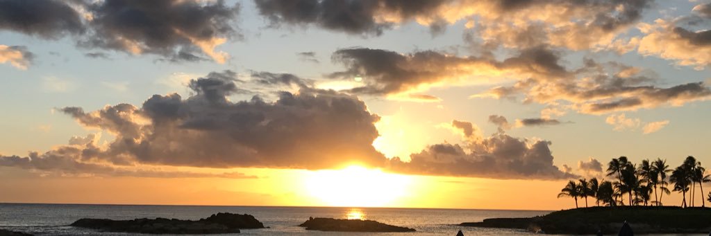 rosieequezada's profile banner image