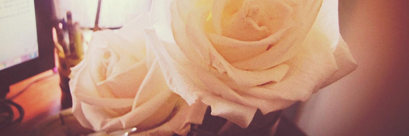 AndreeViidal's profile banner image