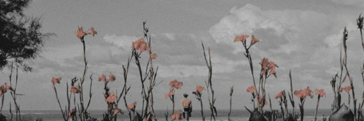mia_mazzini's profile banner image
