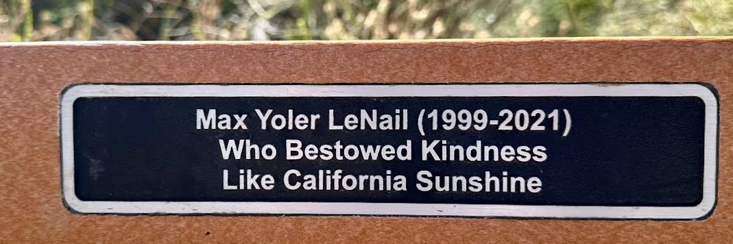 Bridge For Max banner