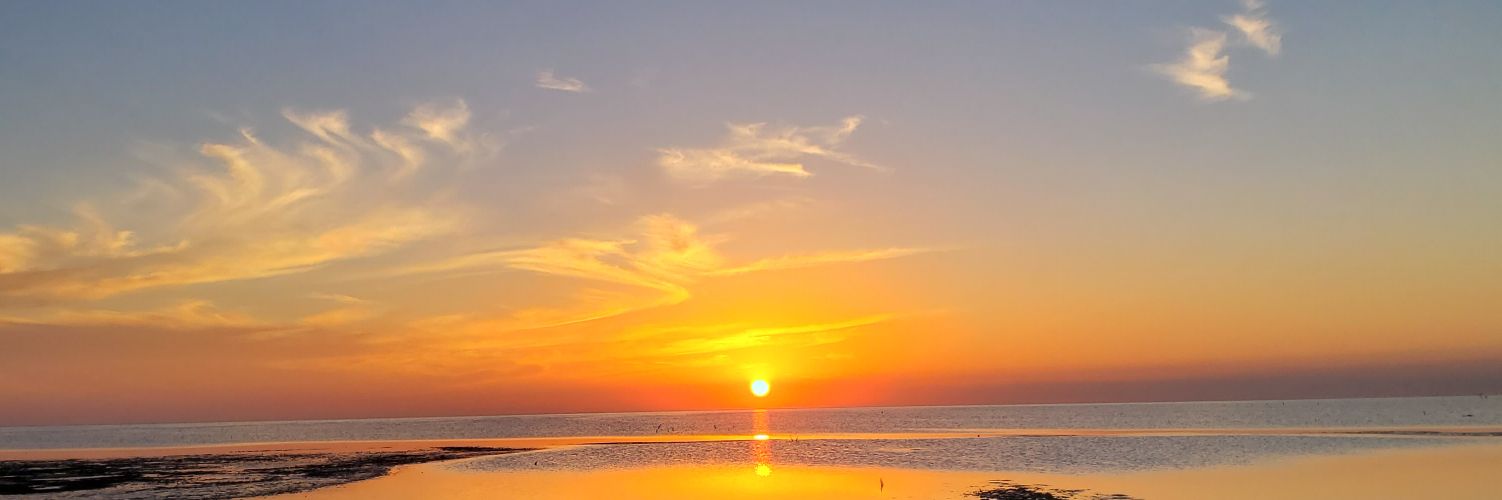 BarbiDelgado_'s profile banner image