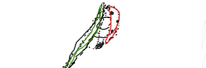 Ronwenko's profile banner image