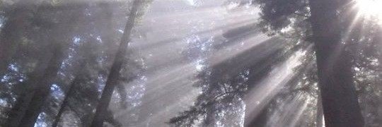pol_ari_ze's profile banner image