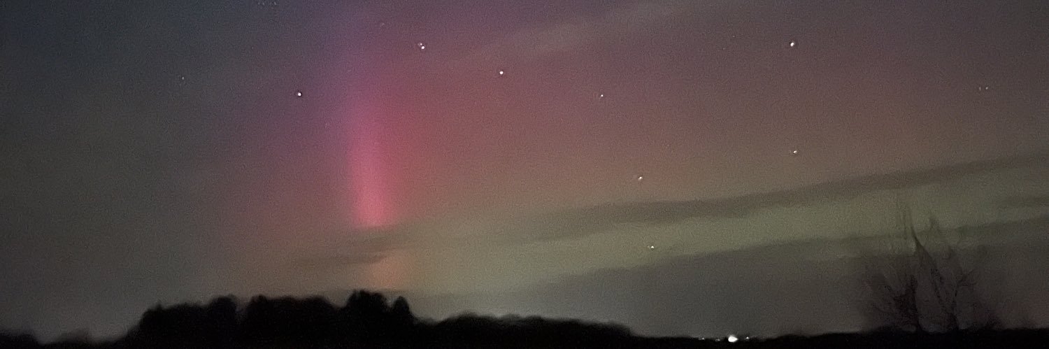 mary orangeosaurus🍊🦕 banner