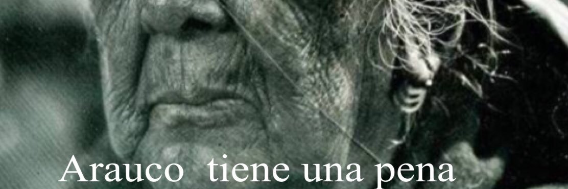 pailahueque's profile banner image