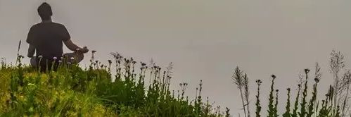 Mark Zolniker banner