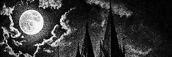 EmilyF666's profile banner image