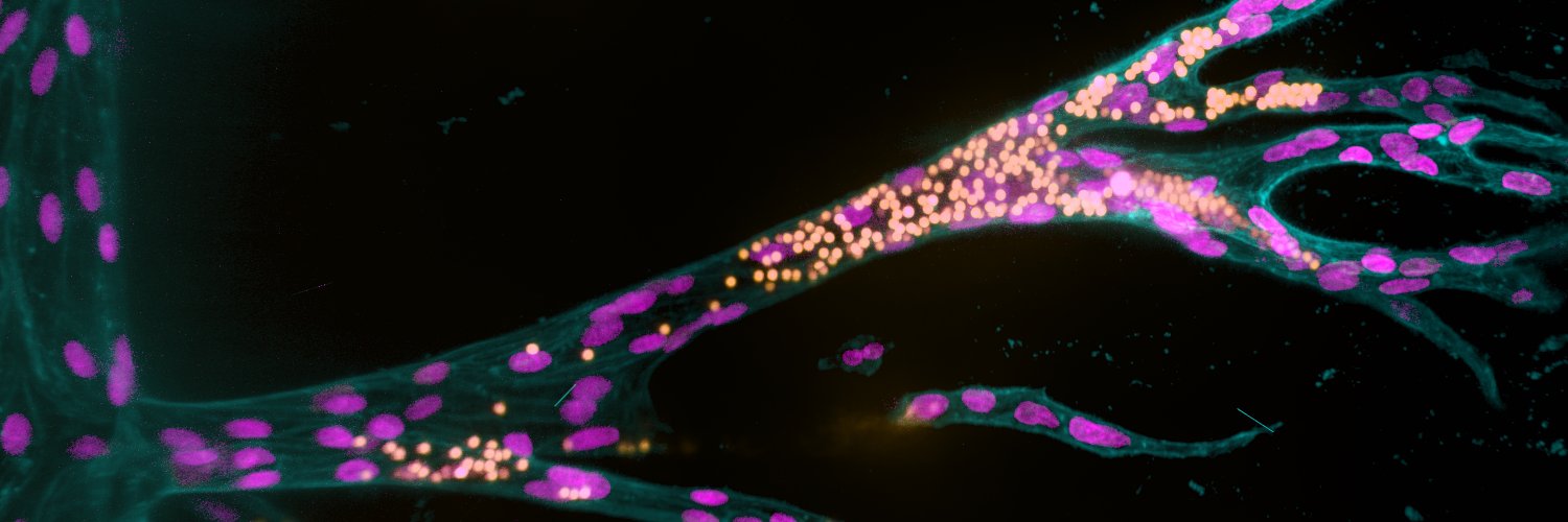 Britta Trappmann banner